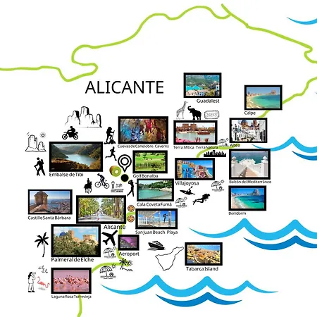Kiwidestiny Alicante *