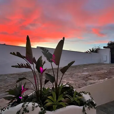 Aparthotel Kiwidestiny Alicante San Juan (Alicante)